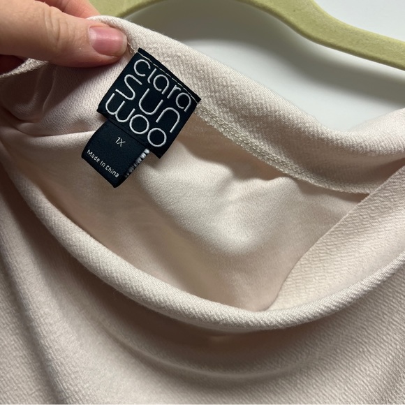 NWT Clara Sunwoo Boat Neck Side Ruched Sweater Top - Bone - Picture 5 of 6